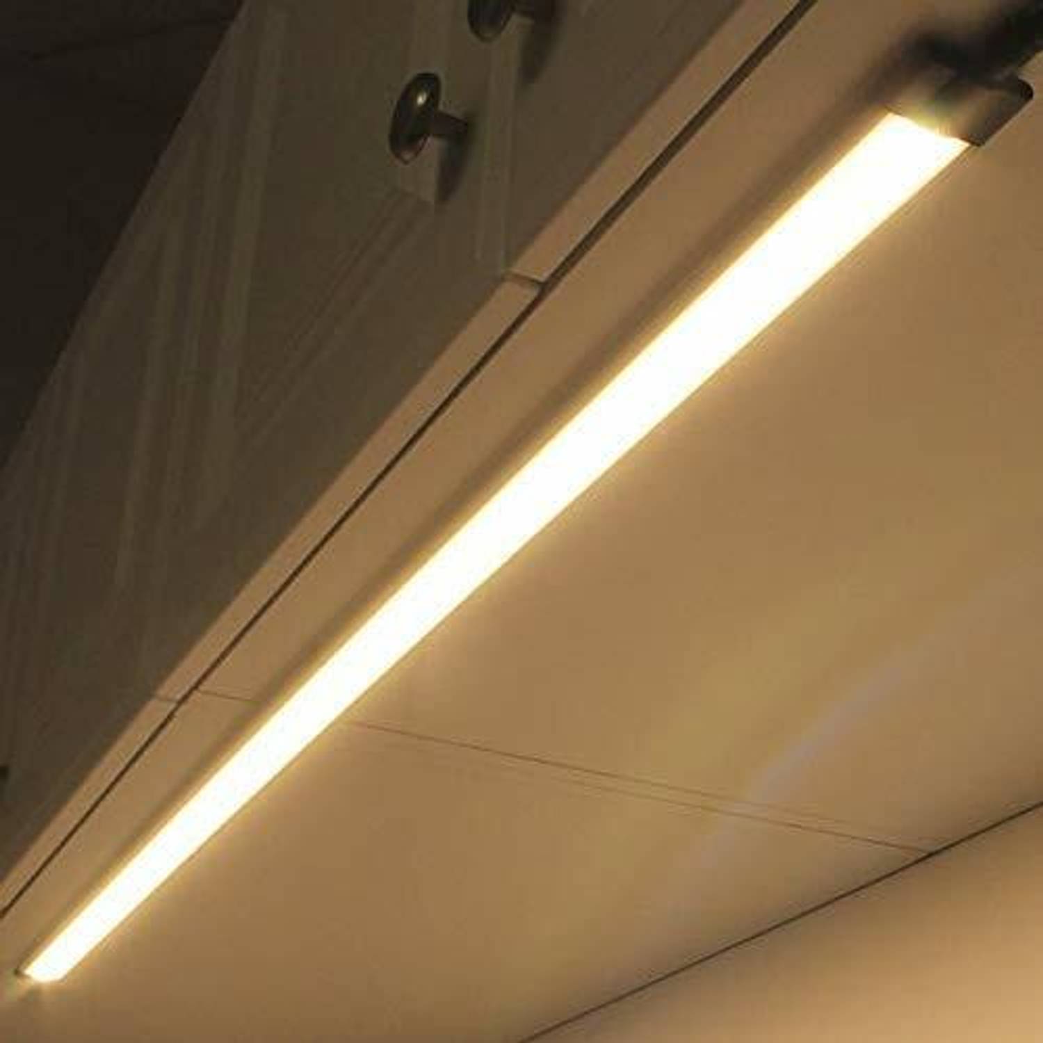 Profile light