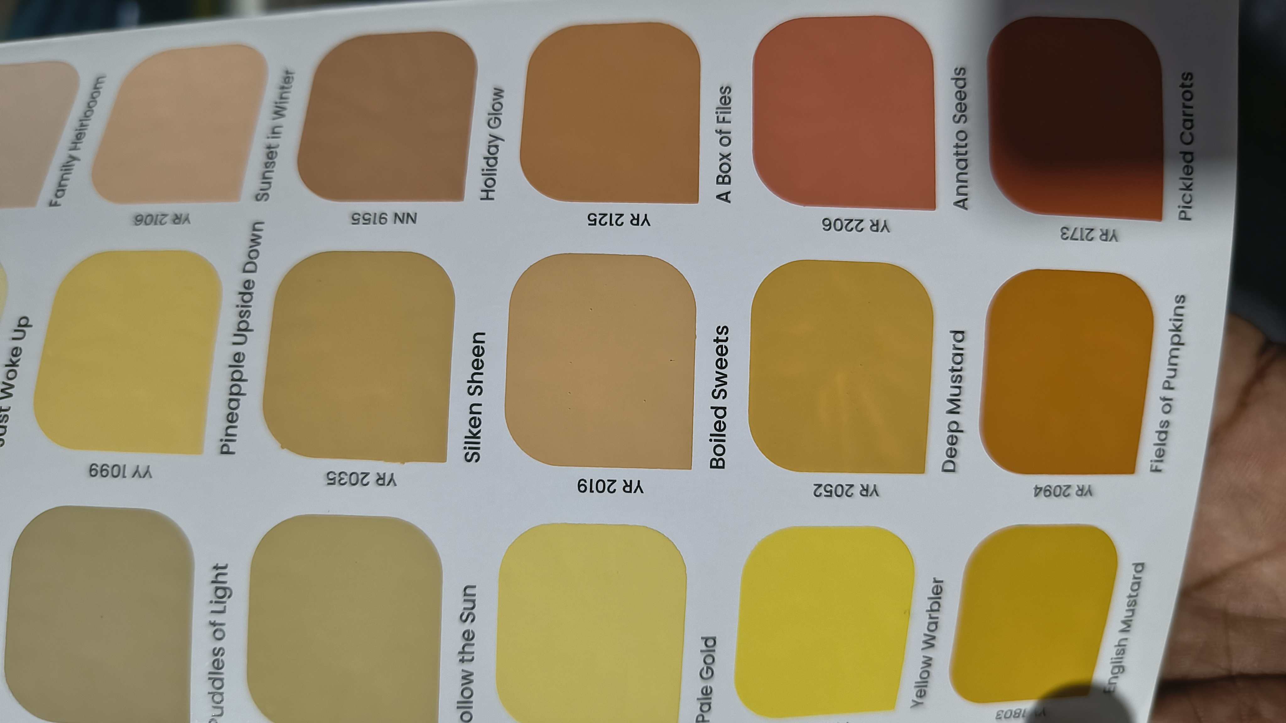 Solid lam color